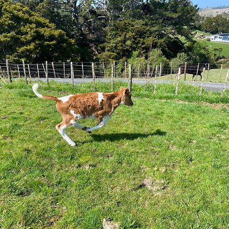 Pukeatua Farmstay Waimauku Exterior foto