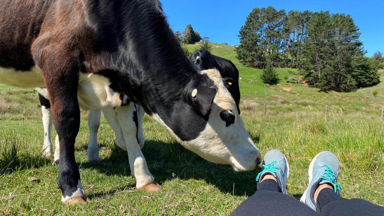 Pukeatua Farmstay Waimauku Exterior foto