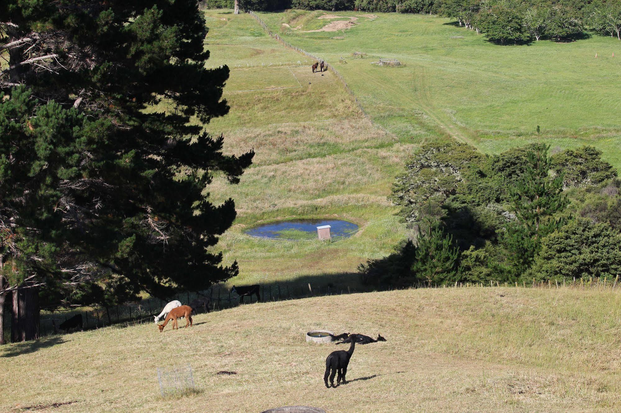 Pukeatua Farmstay Waimauku Exterior foto